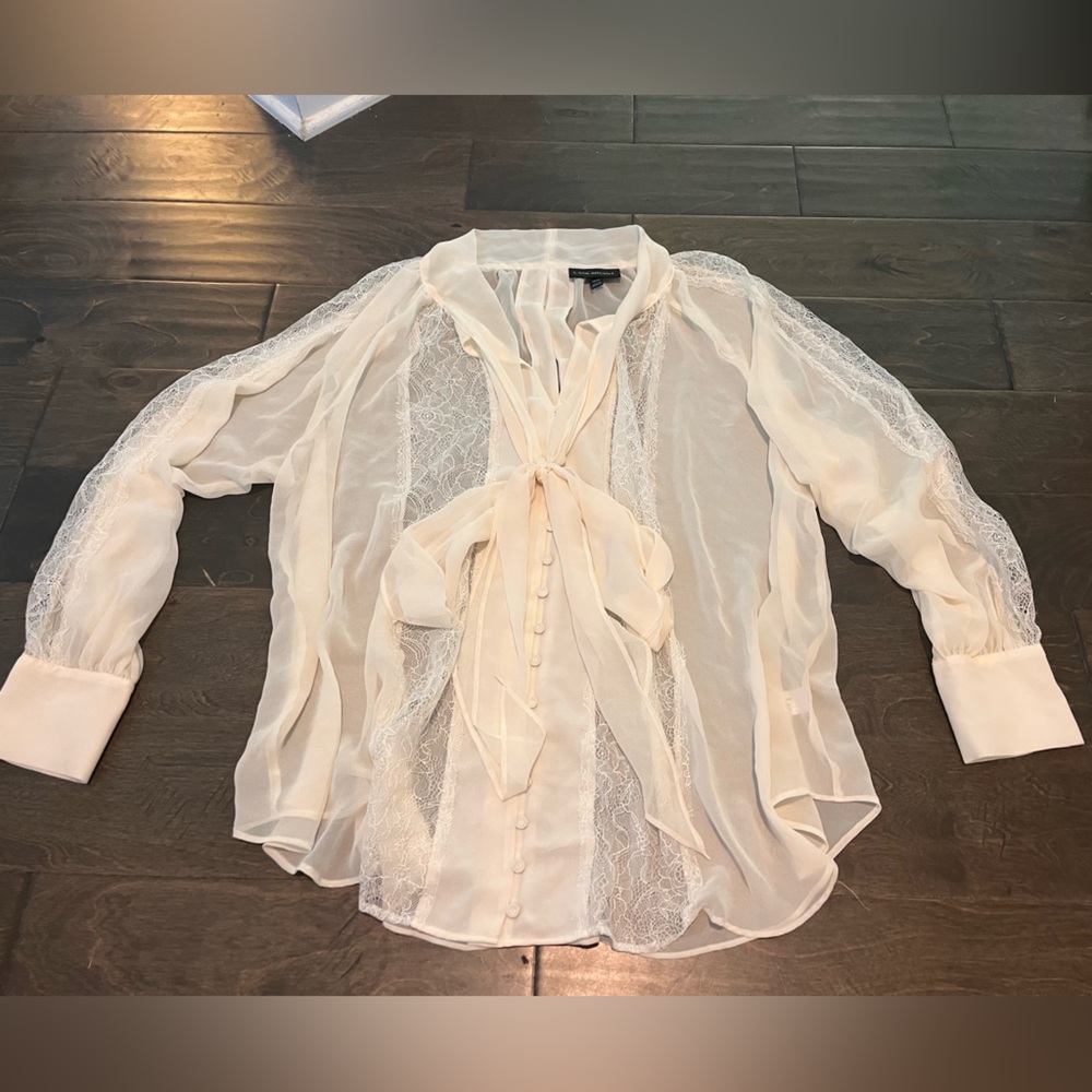 Elegant Sheer Lace Blouse